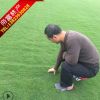 草坪地毯高爾夫草坪工廠草坪公園草皮批發(fā)