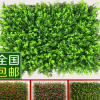 批發仿真草坪 墻面裝飾綠色假草坪草皮 尤加利什錦草仿真綠植墻皮