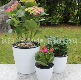 批發(fā)懶人花盆自動(dòng)吸水室內(nèi)盆栽免澆水樹脂花盆白色塑料盆栽花盆