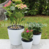 批發懶人花盆自動吸水室內盆栽免澆水樹脂花盆白色塑料盆栽花盆