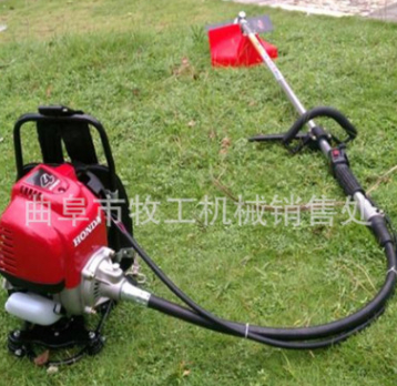 廠家直銷手推式汽油草坪機 園林綠化修剪工具