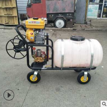 多功能小果園茶園專用噴藥打藥機 手推式汽油打藥機 農(nóng)田打藥機