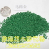 馬蹄金批發 草坪種子 發芽率高 量大優惠 馬蹄金種子銷售