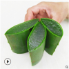 500克新鮮庫拉索蘆薈葉片美國超大美容食用鮮葉蘆薈