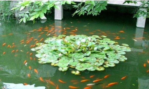 我國最小的園林就在蘇州！但是地位卻超高，還曾經被美國人仿造！