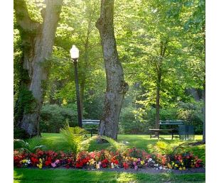 東方園林用景觀講故事，讓人們透過美景感受古老的時光