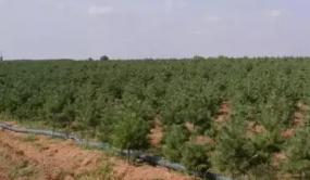 院士專家研討推動林草科技期刊高質量發展